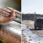 Truck carrying barrels of stinky herring dumps load on Swedish road