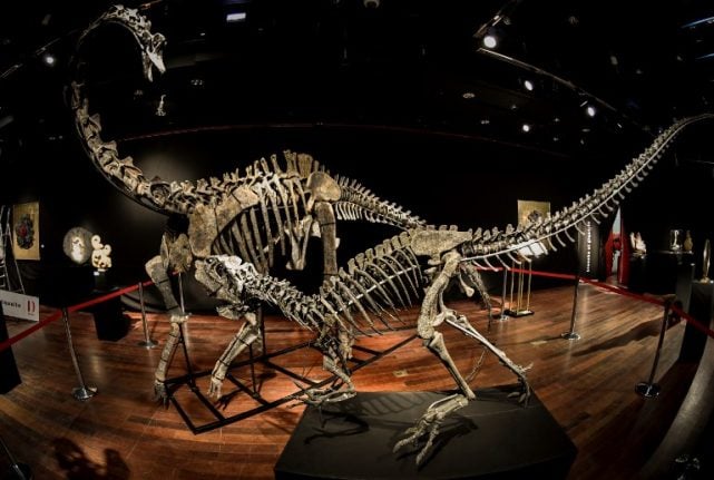 Two 'trendy' dinosaurs go up for sale in Paris (for those who have enough room)