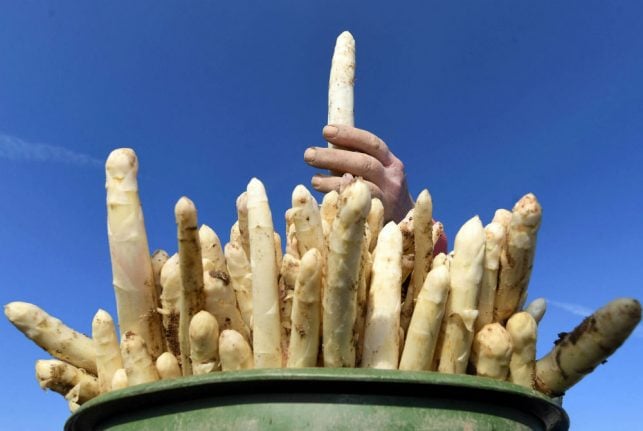 IN PICS: Asparagus season is in full swing across Germany