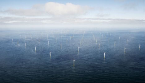 Danish government proposes giant 800MW wind farm
