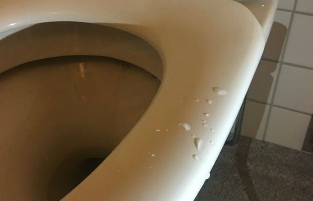 Stockholm burglar caught after loo-seat peeing error