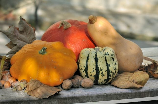 Don't eat bitter pumpkin, French doctor warns after women lose hair