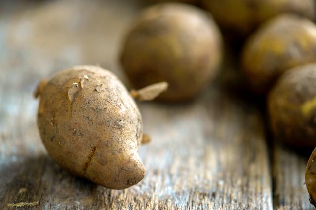 Swede sells first potatoes of the season for 80,000 kronor