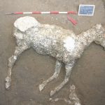 Ancient remains of horse discovered at Pompeii