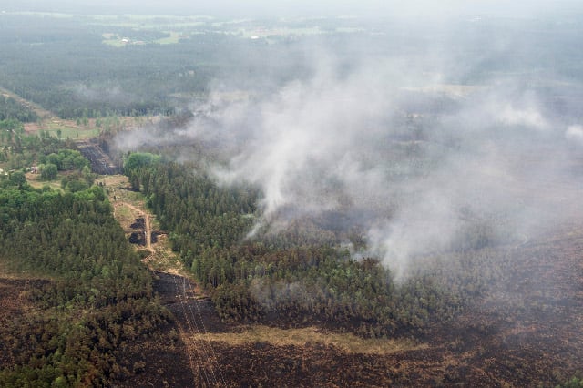 Hot and dry weather creates risk of wildfires across Sweden, weather agency warns
