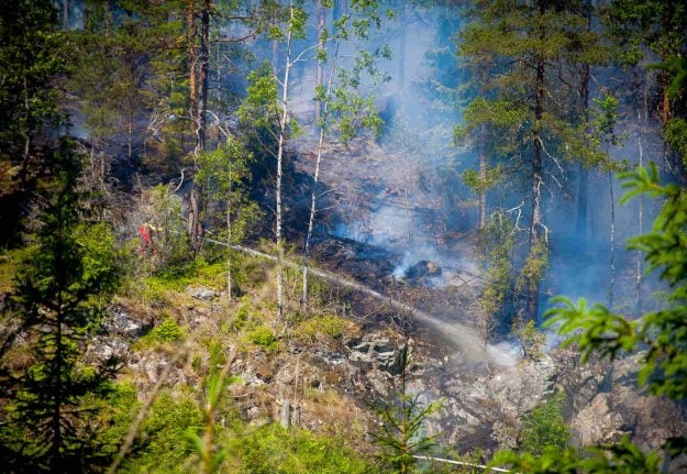 Dry weather means 'extreme risk' of forest fire in Sweden: agency