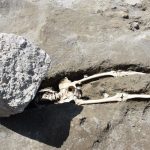 Archaeologists uncover remains of Pompeii victim ‘decapitated while trying to flee’