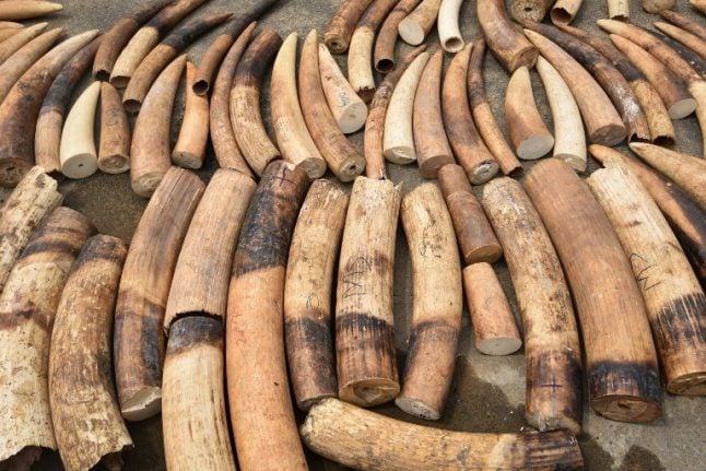 France destroys over 500 kilos of ivory