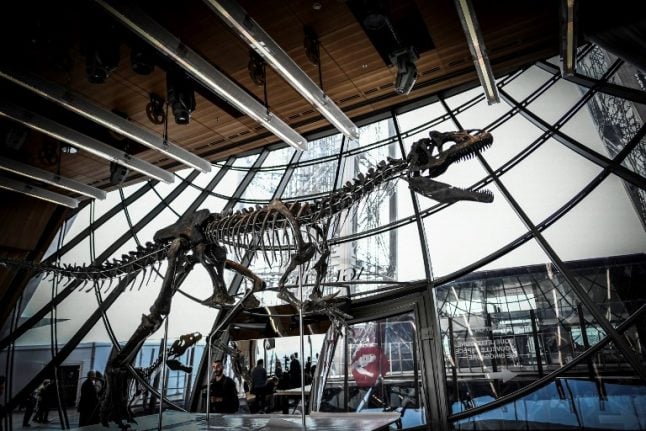 Rare dinosaur skeleton sells for €2 million at Eiffel Tower auction