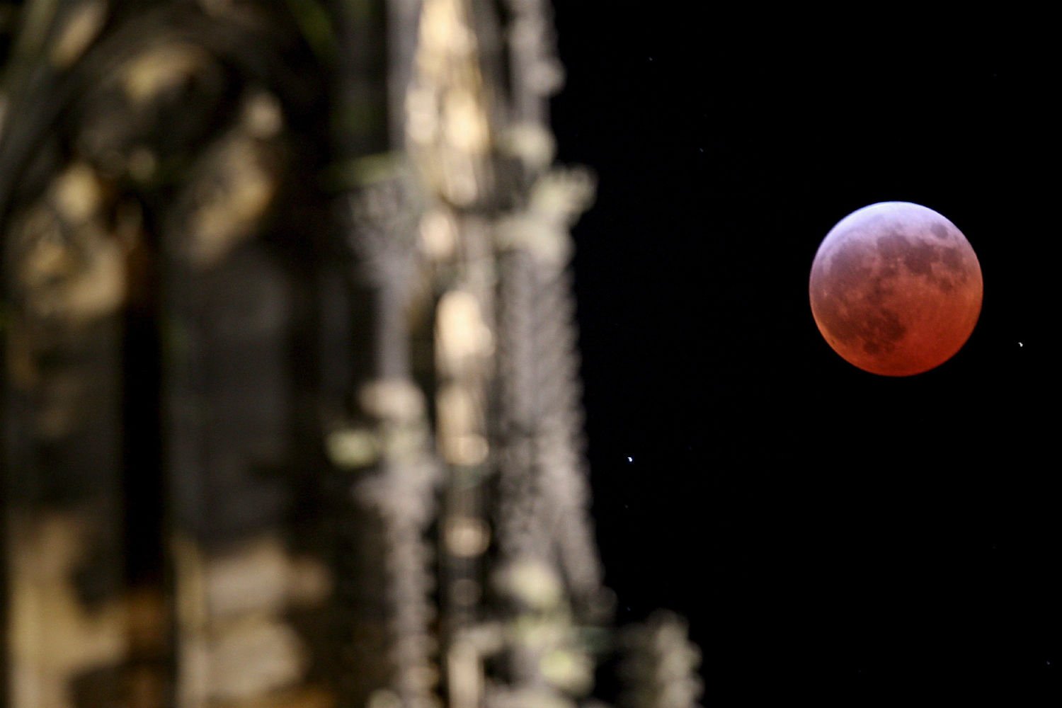 Mofis and moonlight Your guide to the total lunar eclipse in Germany