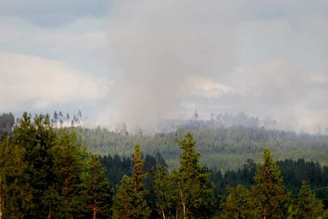 Sweden’s Sami reindeer herders hit by wildfires and drought