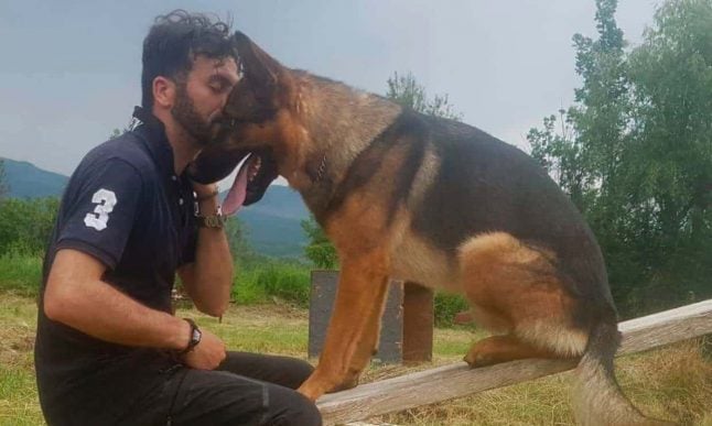 Anger after earthquake hero dog found poisoned