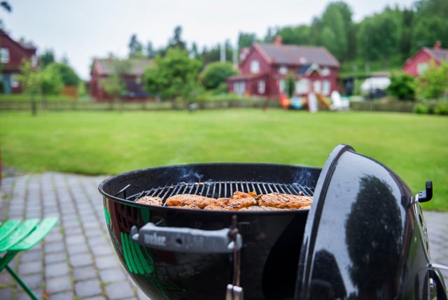 No backyard BBQs: Sweden moves to tighten fire rules