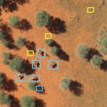 How Swiss software is helping drones survey wildlife in Namibia