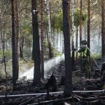 Sweden hit by wildfires and drought as heatwave continues