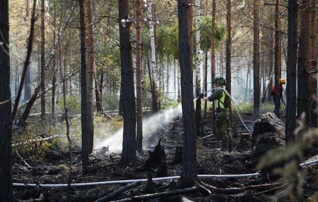 Sweden hit by wildfires and drought as heatwave continues