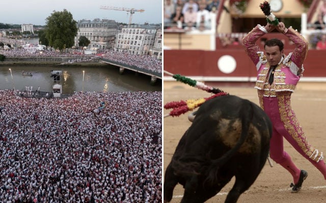 Bullfighting: Should you really go to the Bayonne Festival?