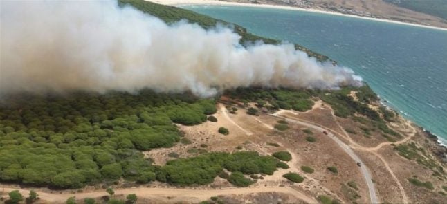 Firefighters bring wildfire near natural park near Tarifa under control