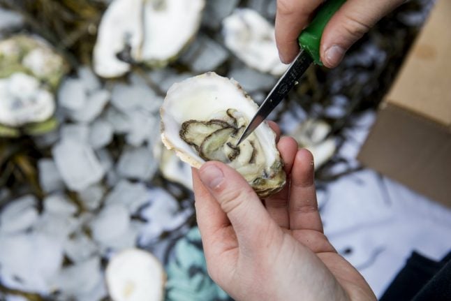 Norwegians warned not to eat oysters after bacteria outbreak