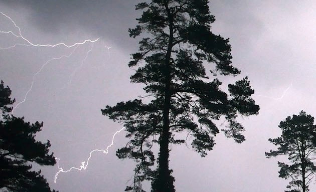 Swedish woman on morning walk killed by lightning