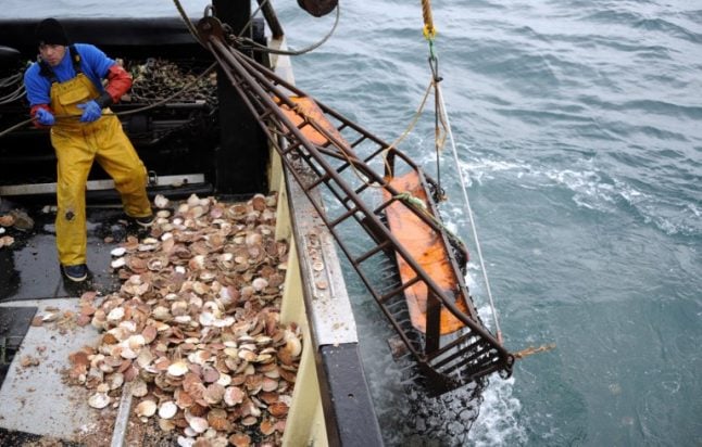 Scallop wars: British fishermen ask for protection from the French