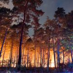 Hundreds evacuated near Berlin as forest fire threatens villages