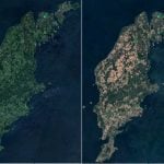 The impact of Sweden’s summer heatwave is visible from space