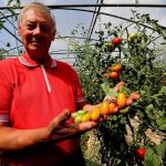 French tomato grower with cancer takes on Monsanto over weedkiller