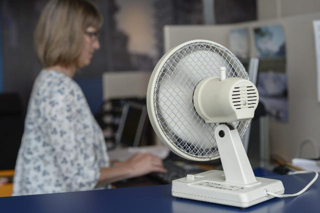 The hunt for the last fan in Sweden: How the heatwave left Swedes sweating