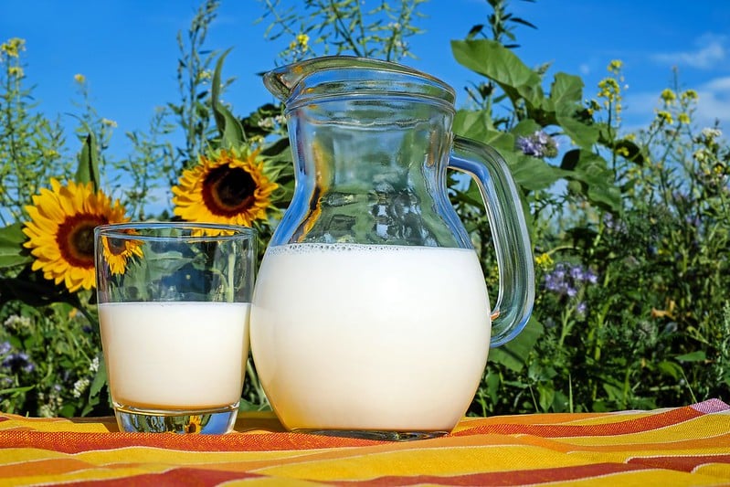 five-ways-that-leche-means-more-than-just-milk-in-spain-time-news