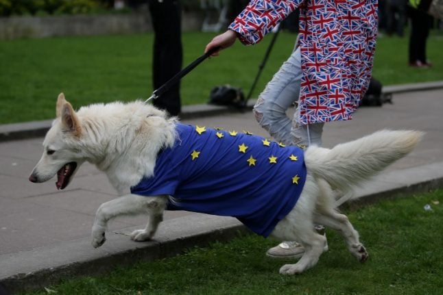 How a no-deal Brexit could mess up your dog's holiday to France