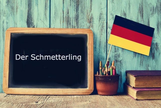 German Word of the Day: Der Schmetterling
