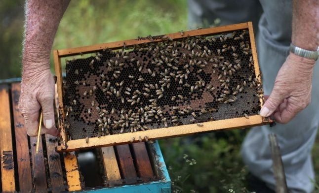 Austrian fruit grower jailed for killing bees