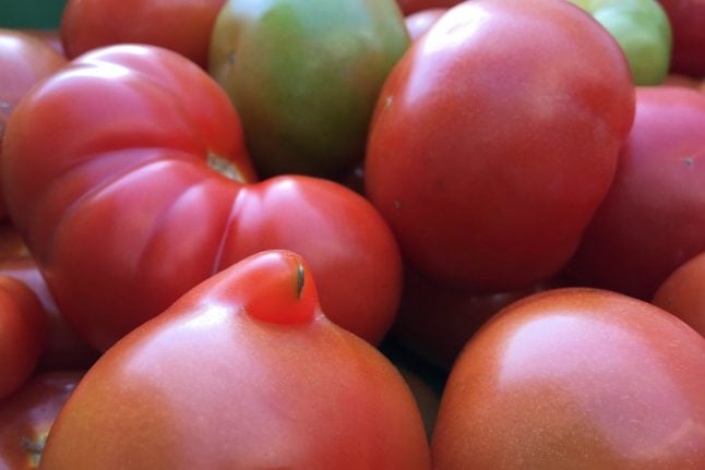 Danish producer saves 75 tonnes of ‘ugly’ tomatoes