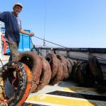 France reverses car tyre sea sanctuary – an environmental flop