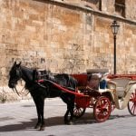 OPINION: It’s time to take horse-drawn carriages off the streets of Mallorca