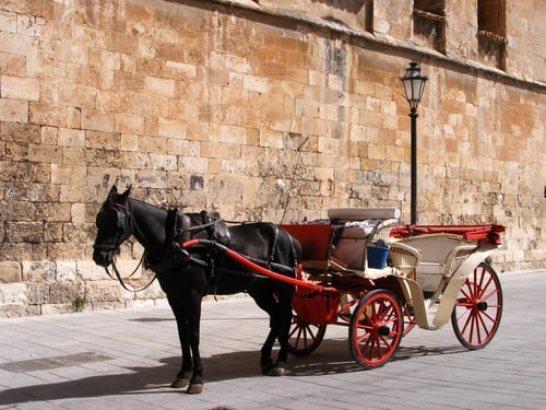 OPINION: It’s time to take horse-drawn carriages off the streets of Mallorca