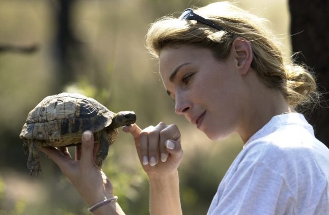 French police launch hunt for endangered tortoises stolen from nature park