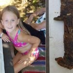 Eight-year-old Swedish-American girl pulls pre-Viking era sword from lake