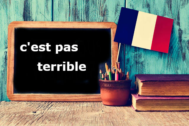 French Expression of the Day: C'est pas terrible