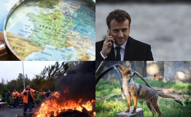 A Glance around France: €500 fox hunting bonuses and court for troll who called Elysee 200 times in 24 hours