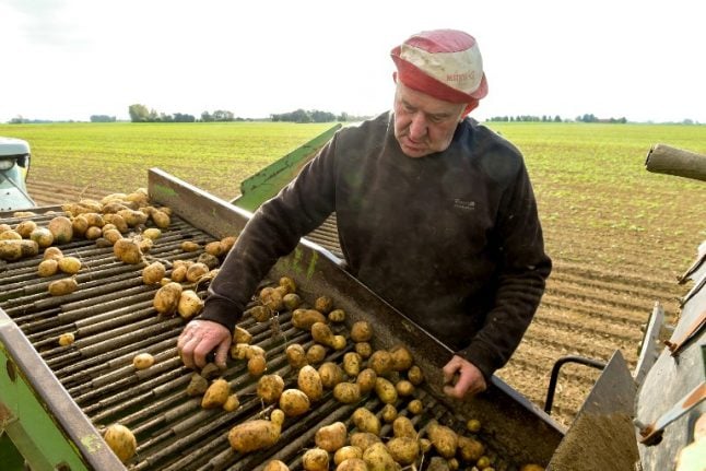 Has the summer drought left France heading for a spud shortage?