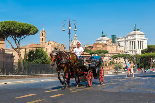 Rome announces new measures to rein in horse and carriage drivers