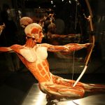 Torture fears see Lausanne ban exhibition on human bodies