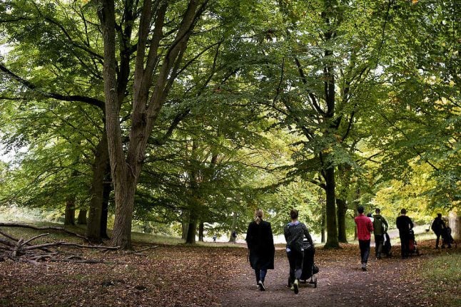 'Indian summer' to replace cold and rain in Denmark this week