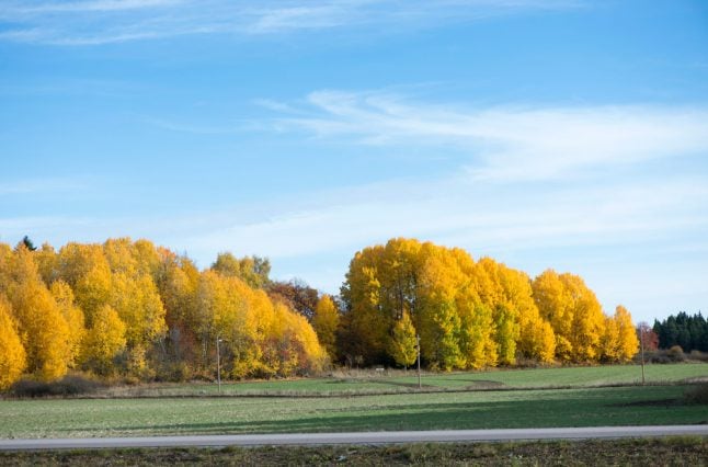 Swedes to bask in unusual October warmth