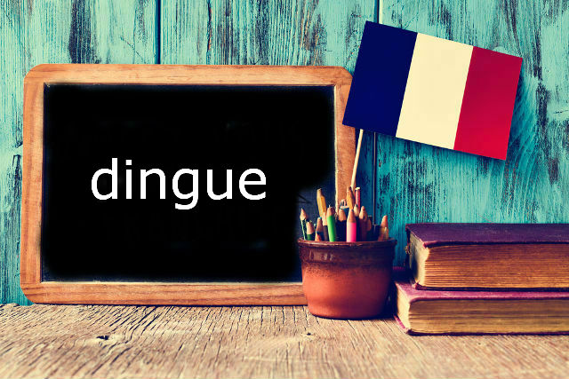 French Word of the Day: Dingue