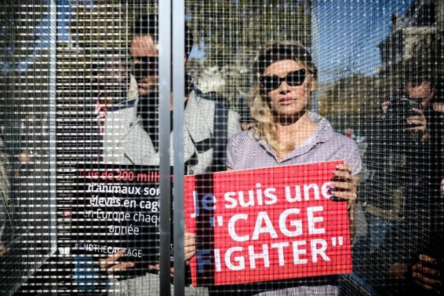 'Cage fighter': Pamela Anderson gets behind bars in Paris animal rights protest