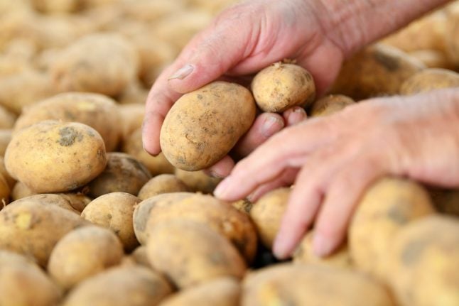 Drought causes potato prices to rise by more than half – and they have more flaws