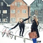What makes exchange students come back to Sweden?